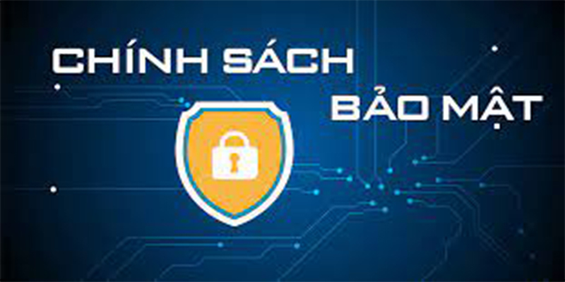 Nội dung chính của Chính sách Bảo Mật Sv889